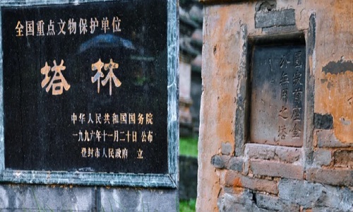 Pagoda-Forest-Shaolin
